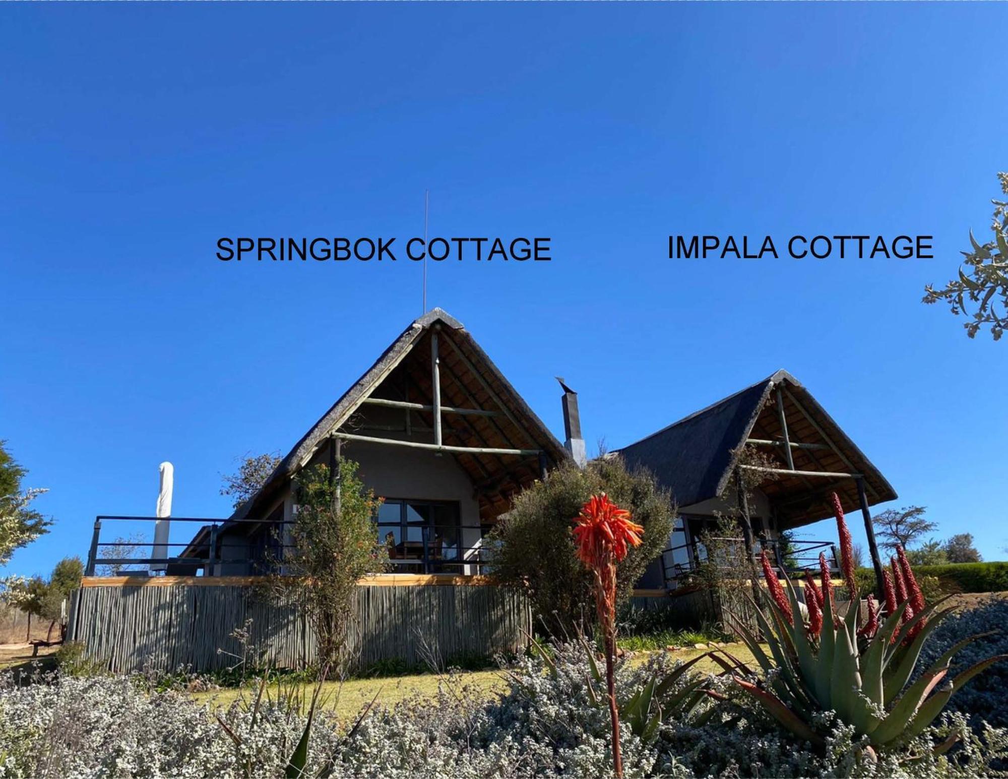 Sibani Lodge Krugersdorp Exterior photo